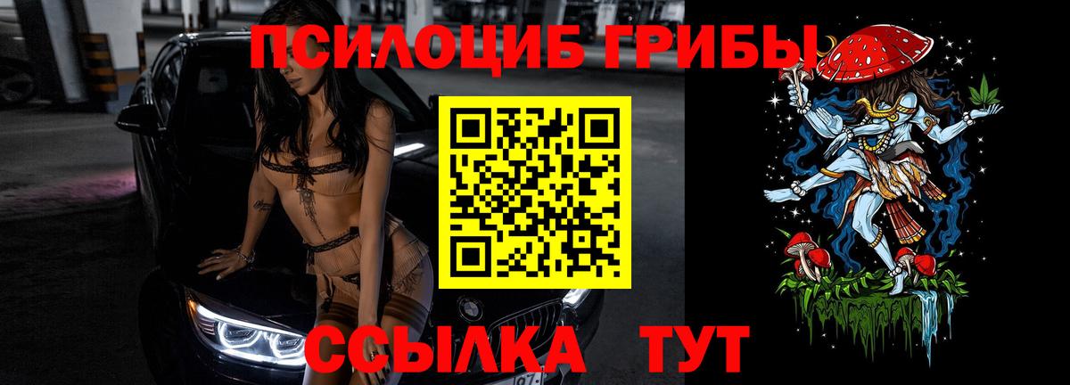 купить наркоту  Псилоцибиновые грибы MAGIC MUSHROOMS  Вход с VPN  Чапаевск  Псилоцибиновые грибы Cubensis 